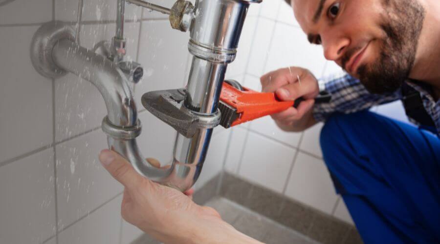 Professional Leak Detection Services in Pleasant Plains, AR